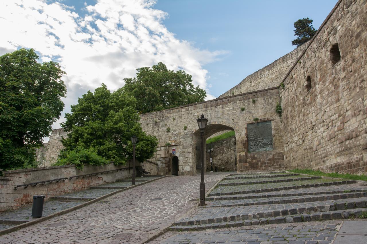 Zora Apartman Eger Bagian luar foto